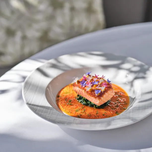 Bright salmon with orange sauce and micro greens and edible flowers as a main dish from The Restaurant at Hotel Bel-Air.