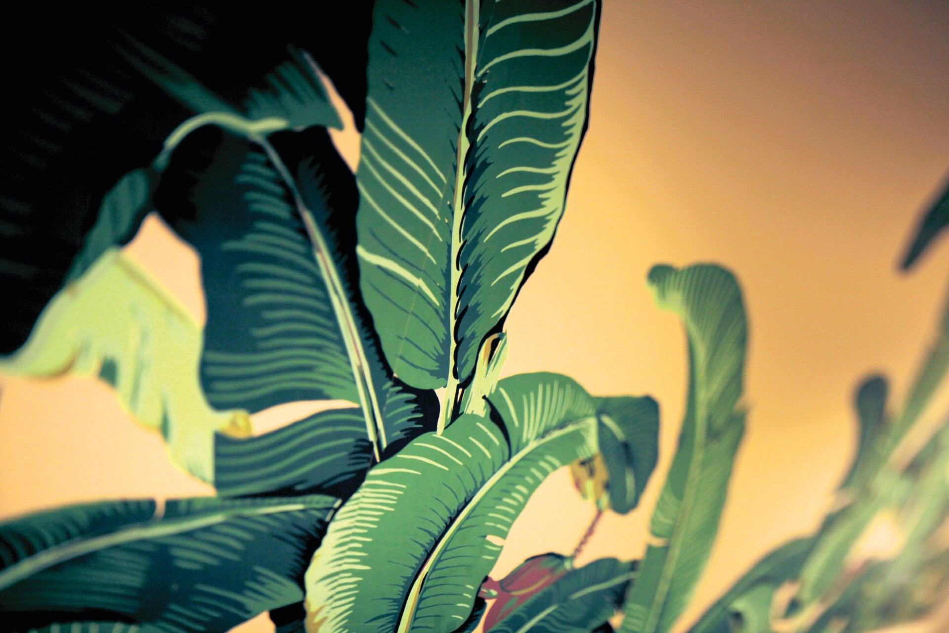 Martinique Banana Leaf Wallpaper at The Beverly Hills Hotel, Los Angeles 
