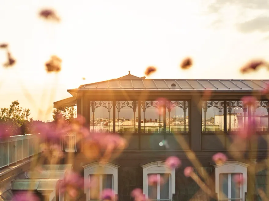 Flowers on the rooftop of the Belle Etoile suite at Le Meurice, Paris.