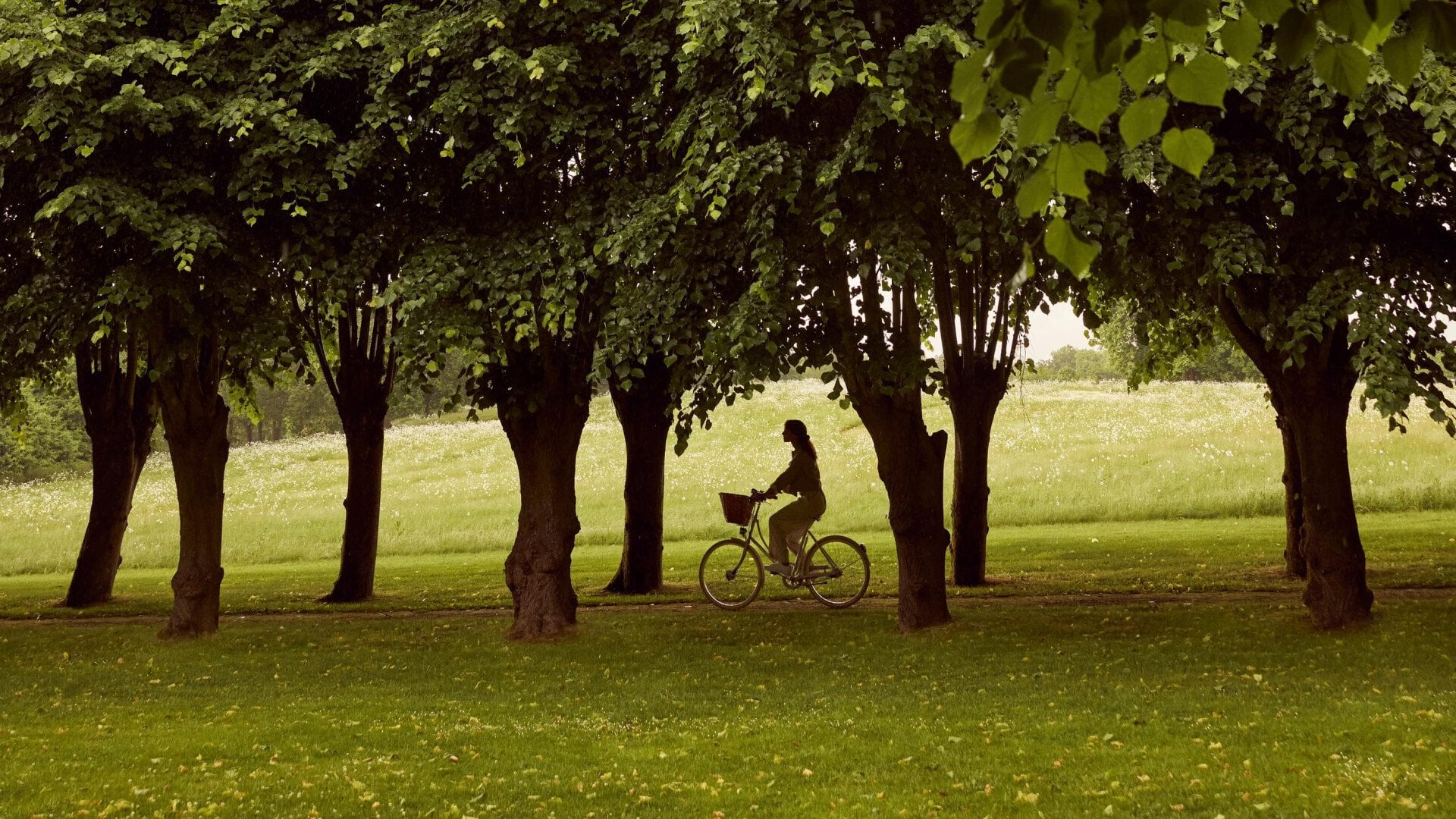 Cycling around the estate at Coworth Park in the evening light