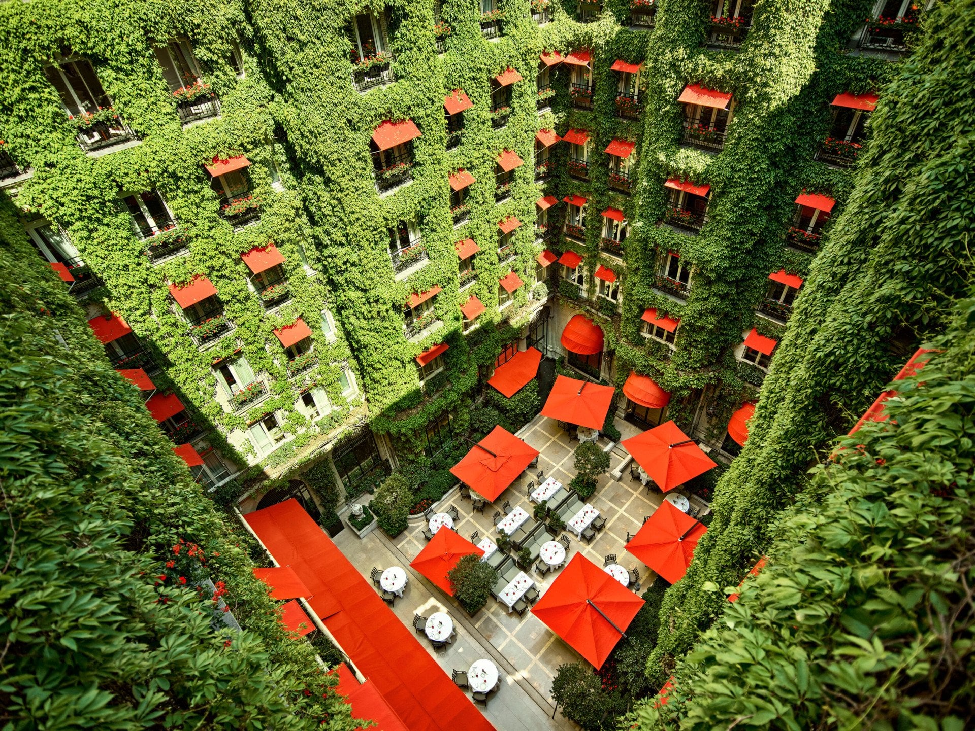 Photo montrant la cour jardin du Plaza Athenee vue de haut, la feuille de vigne recouvre les quatre façade de la cour et les parasols rouge sont ouverts.