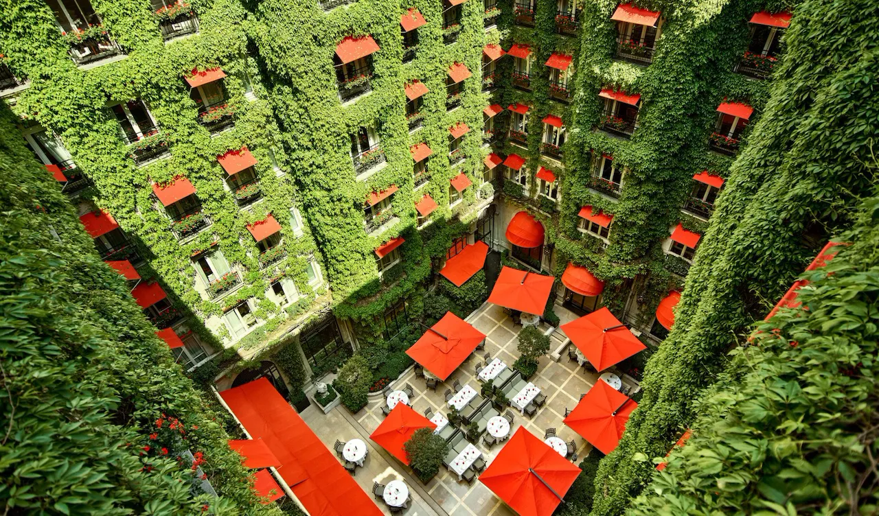 Photo montrant la cour jardin du Plaza Athenee vue de haut, la feuille de vigne recouvre les quatre façade de la cour et les parasols rouge sont ouverts.