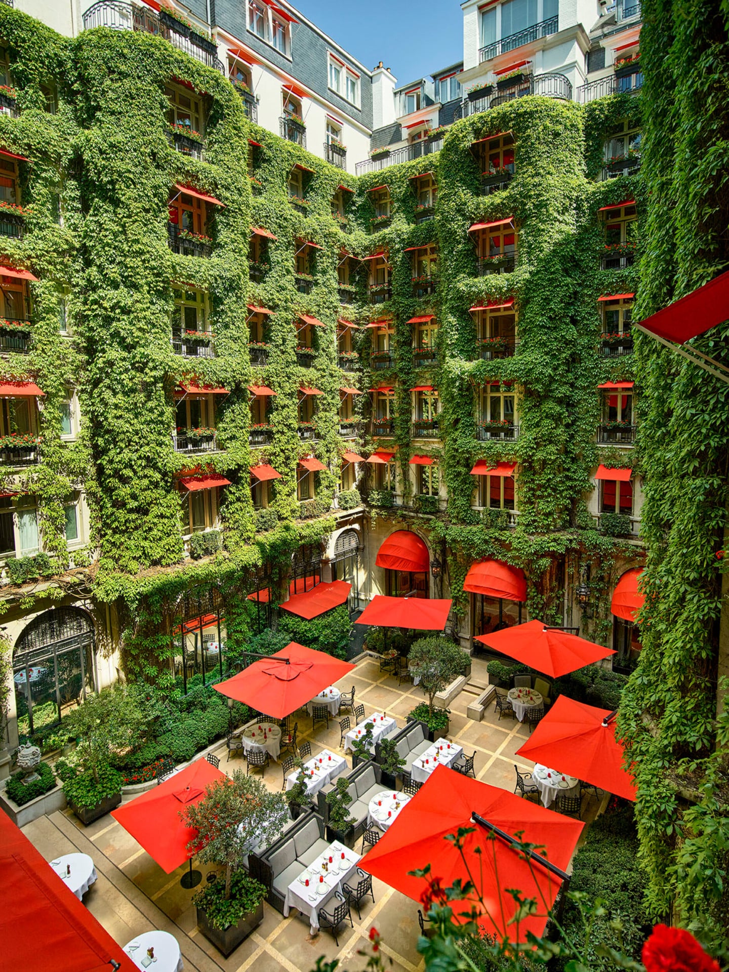 Cour luxuriante aux murs recouverts de lierre et aux auvents rouge vif, avec des tables en plein air sous des parasols rouges. L'ambiance est animée et accueillante.