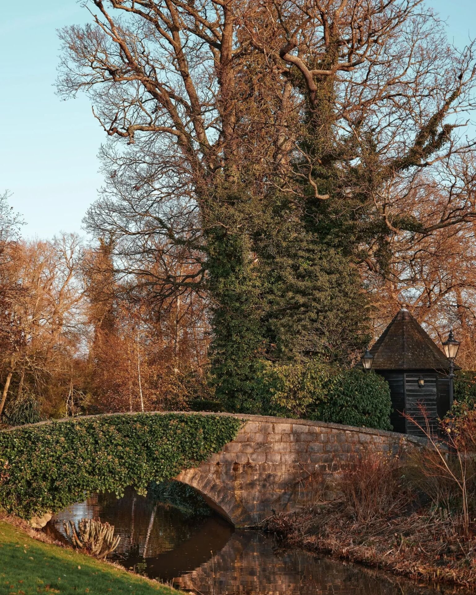 The wintery Grounds at Coworth Park in the glowing evening light