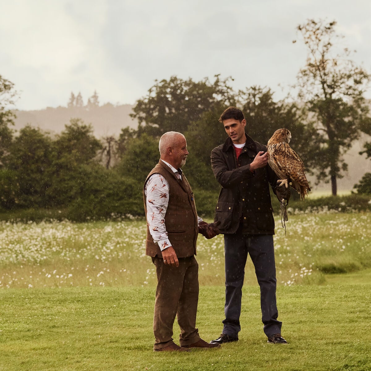 Falconry experience at Coworth Park, a Dorchester Collection hotel