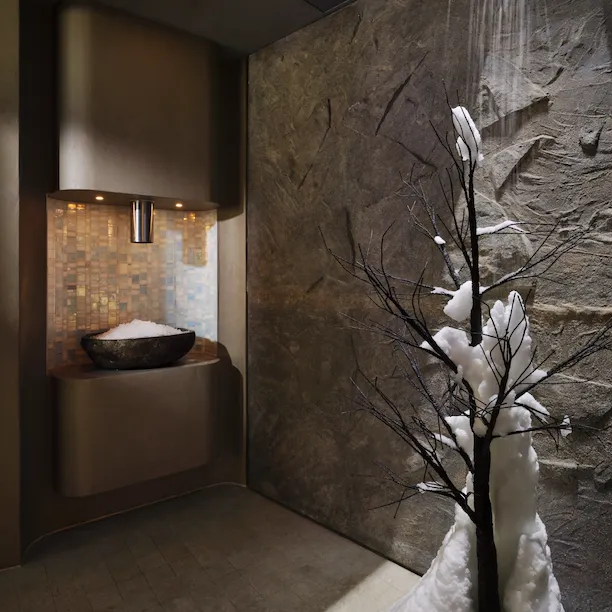 Snow shower experience room at The Spa at Coworth Park
