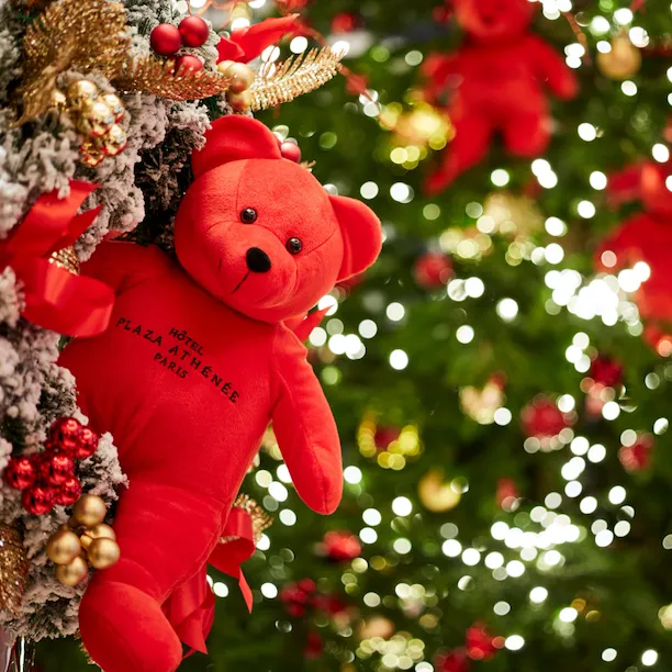 HPA-Festive-Season-2018-Christmastree-2-HR-by-Tom-Fallon