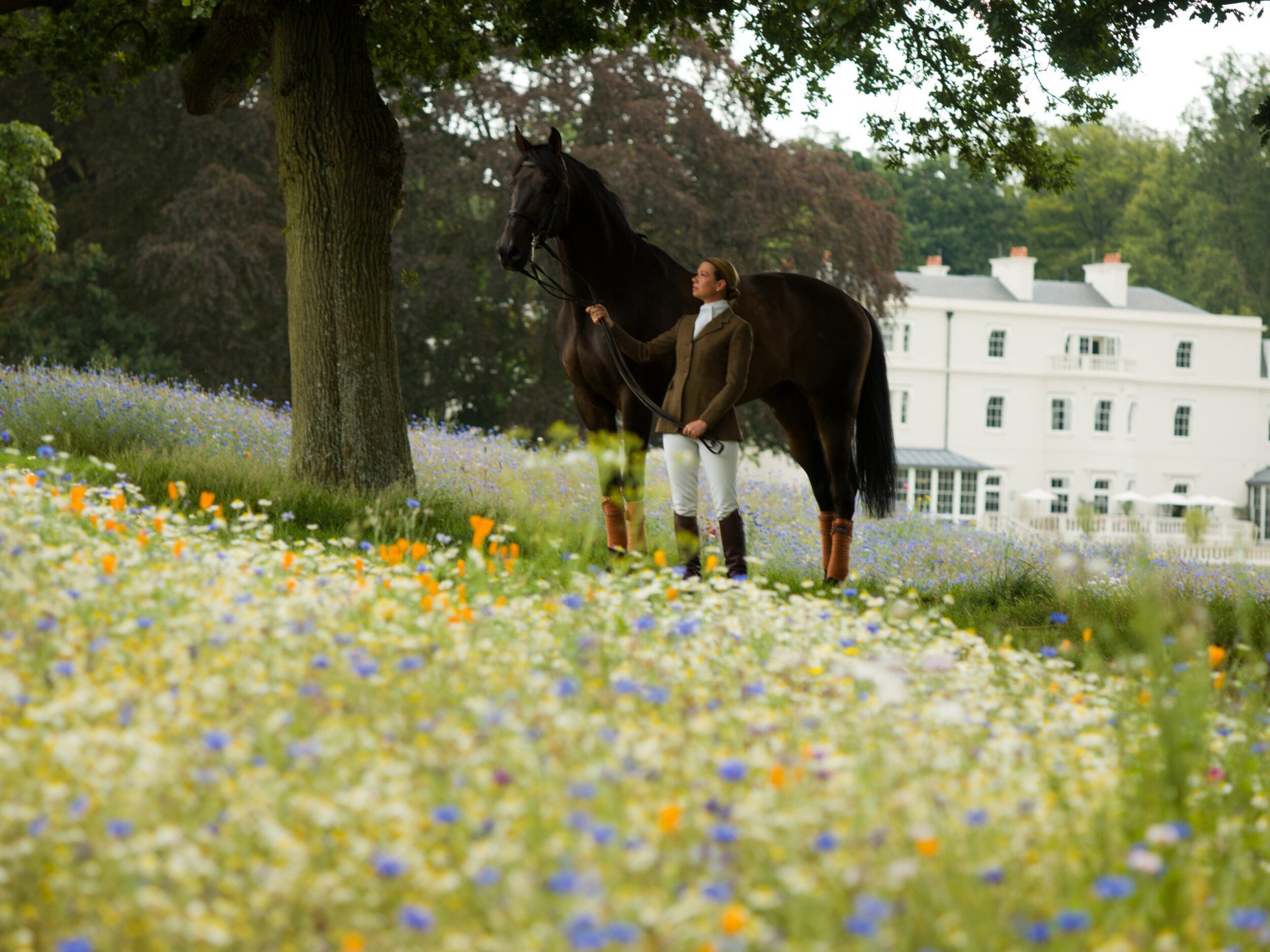 Horse and trained in the meadow flowers at Coworth Park
