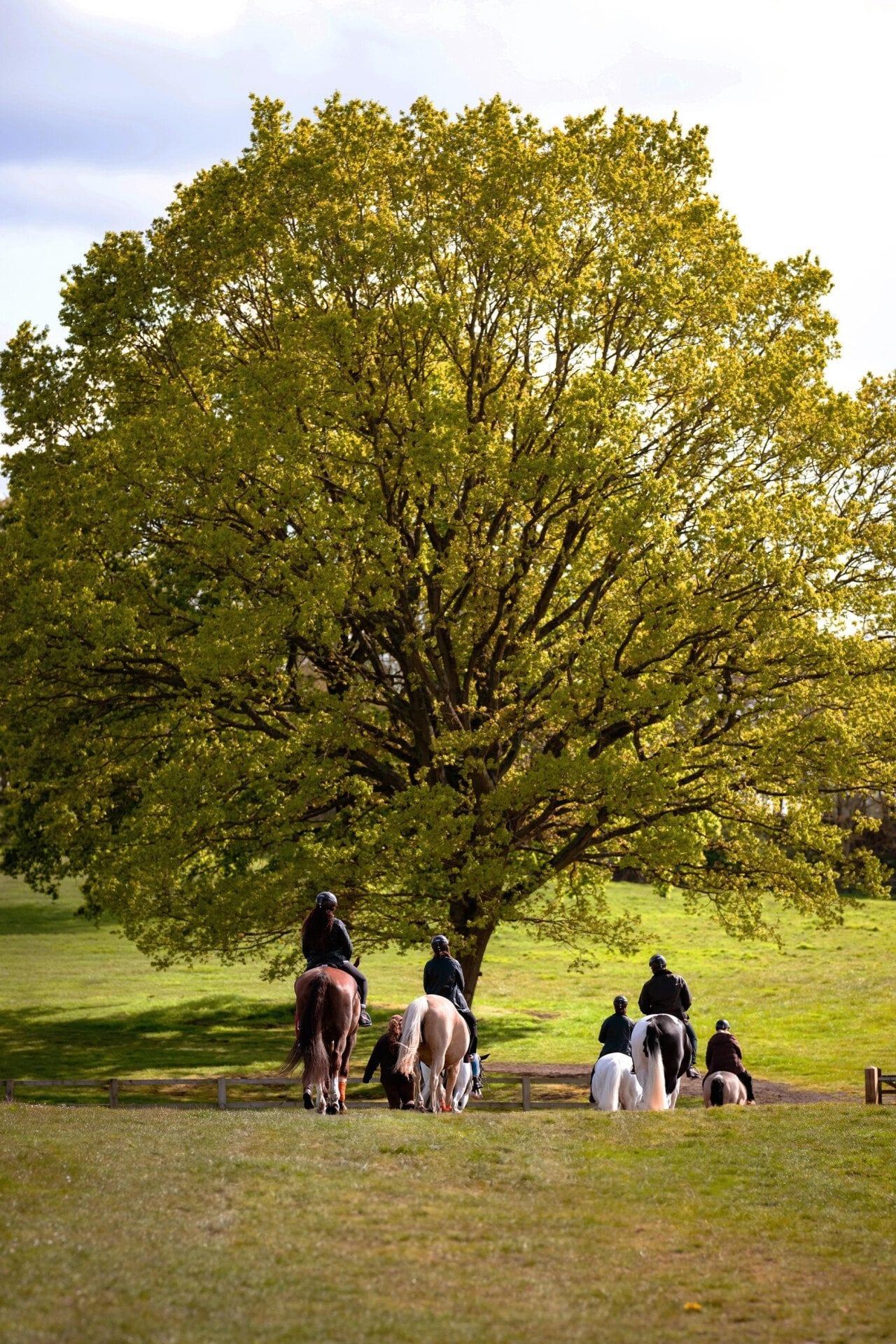 Equestrian session  in the grounds of Coworth Park