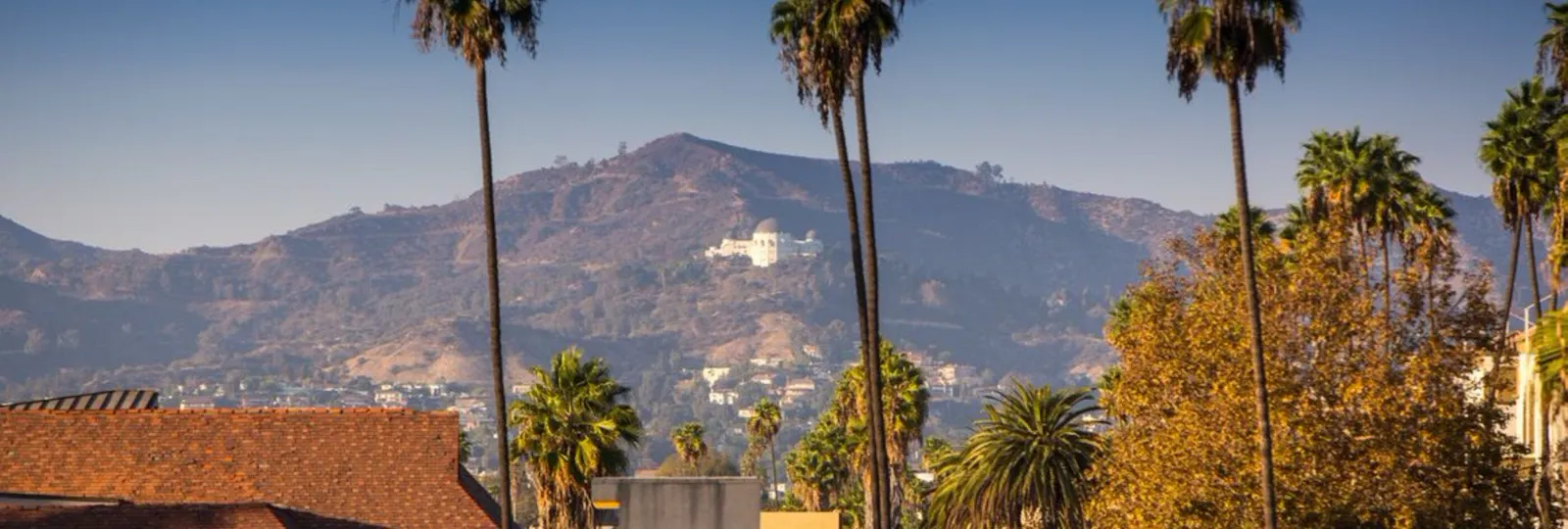 The circled landmark in the image is the iconic Hollywood Sign
