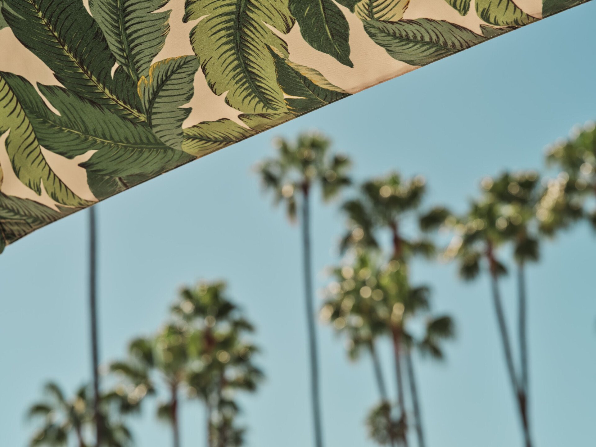 banana leaf umbrella interior with palm trees blurred moment