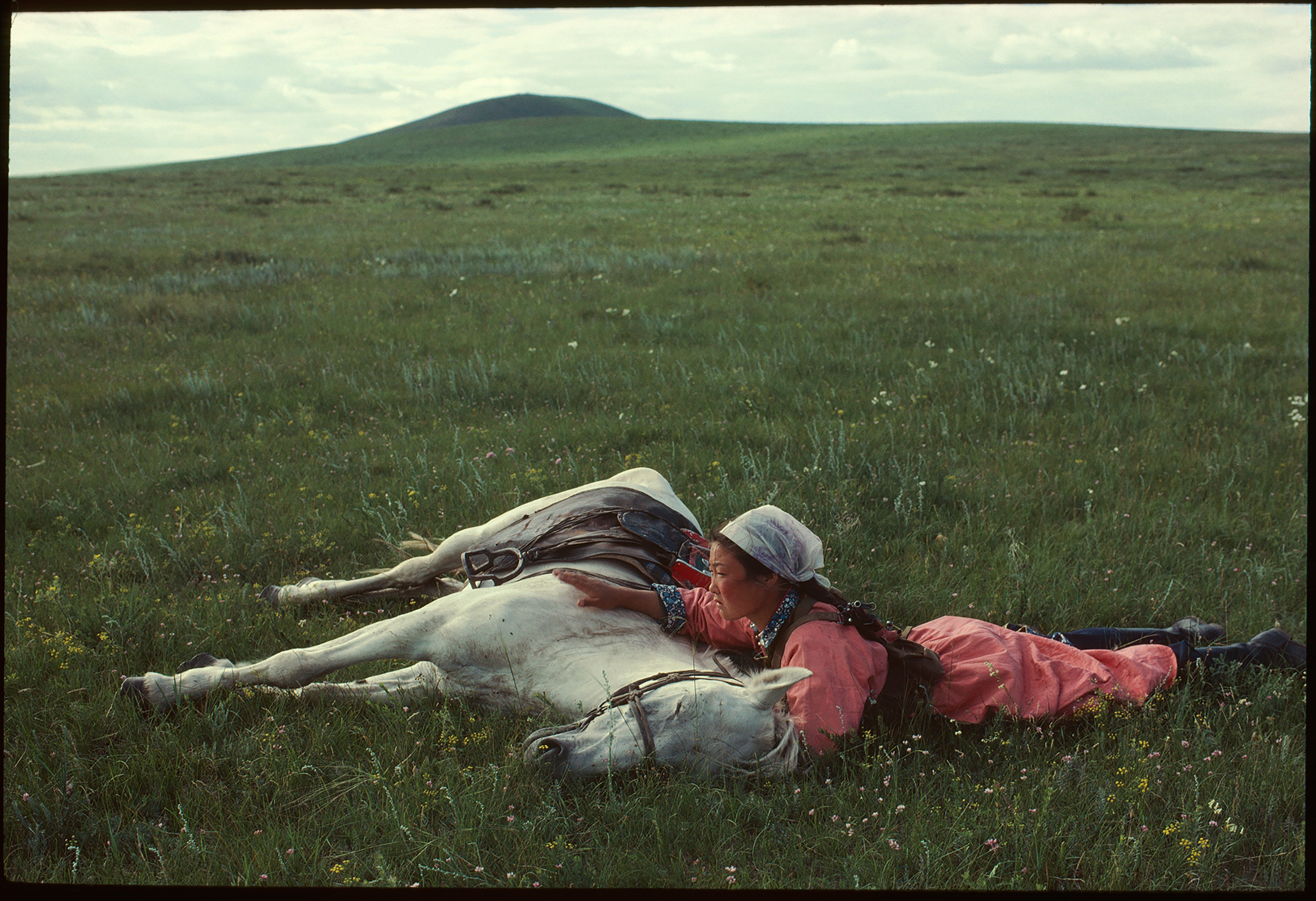 A woman and a white shore lying in filed of grass with mountain background