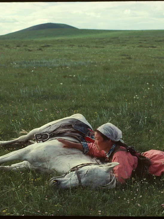A woman and a white shore lying in filed of grass with mountain background