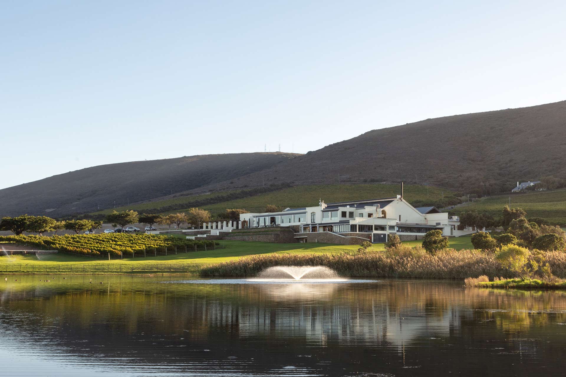 The De Grendel wine estate