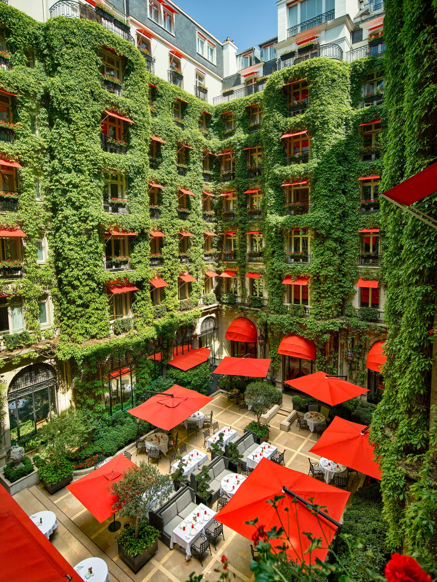 	La Cour Jardin Courtyard green vine, red awnings and parasols seen from a room window, at Hotel Plaza Athénée, Paris