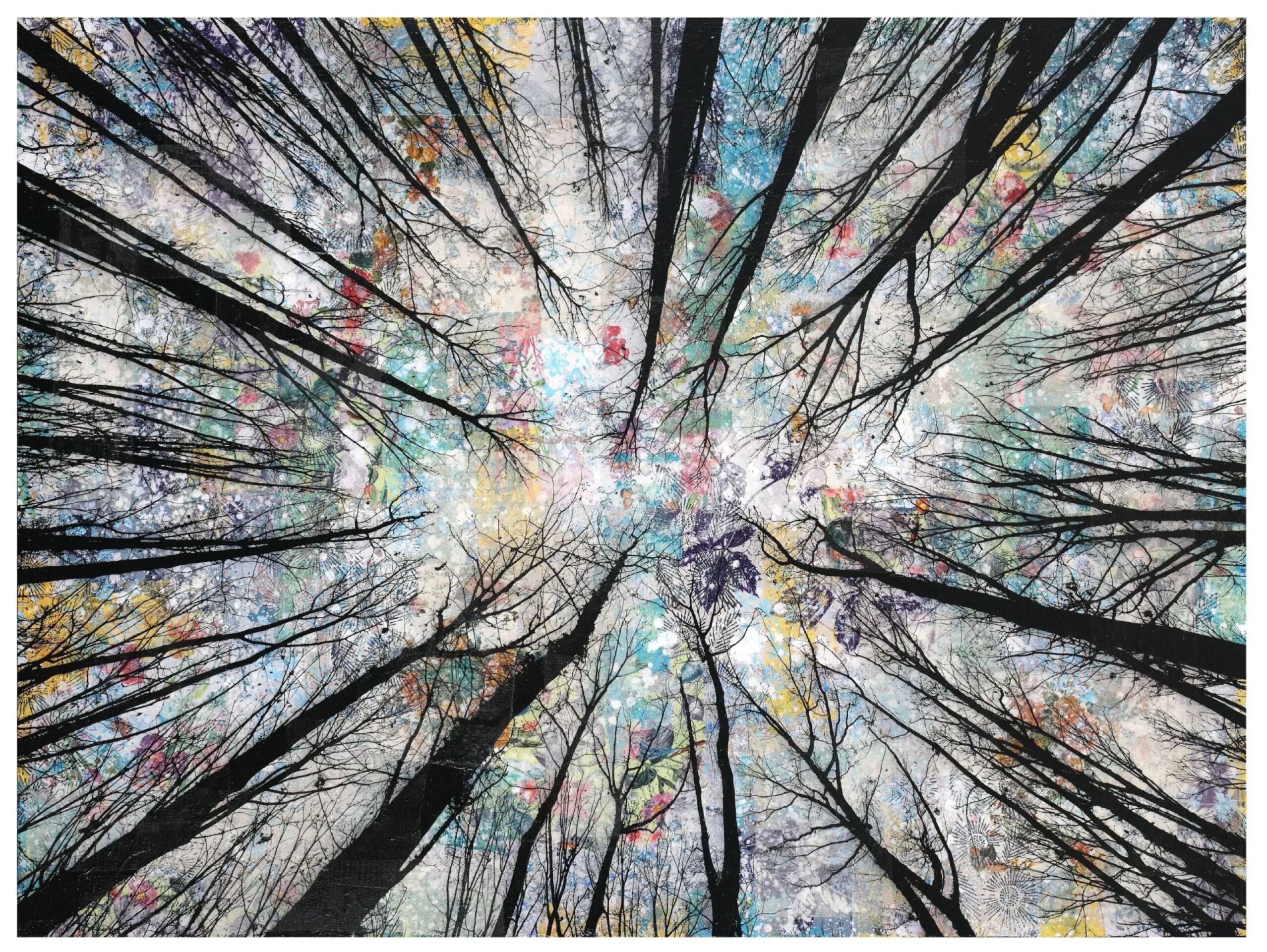 Image if treetop seen from below by artist Manuel Felisi