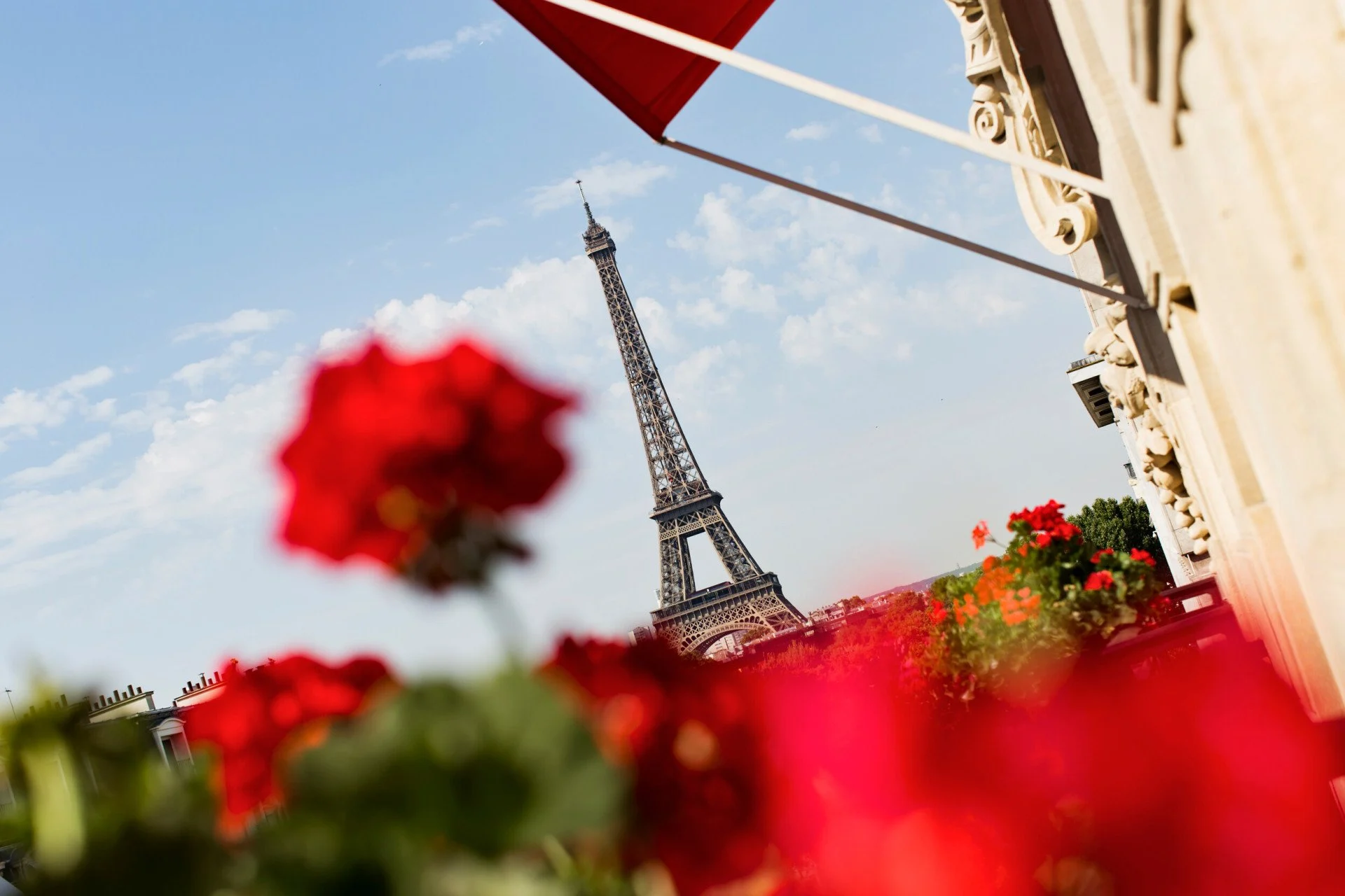 La tour Eiffel est encadrée par des fleurs rouges au premier plan par temps clair. Un bâtiment de couleur crème avec un auvent rouge ajoute une touche d'élégance à la scène.