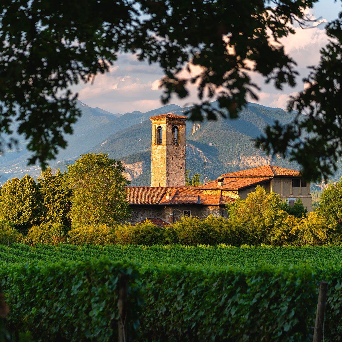 Un vigneto e una chiesa in Franciacorta, in Lombardia, nel nord Italia