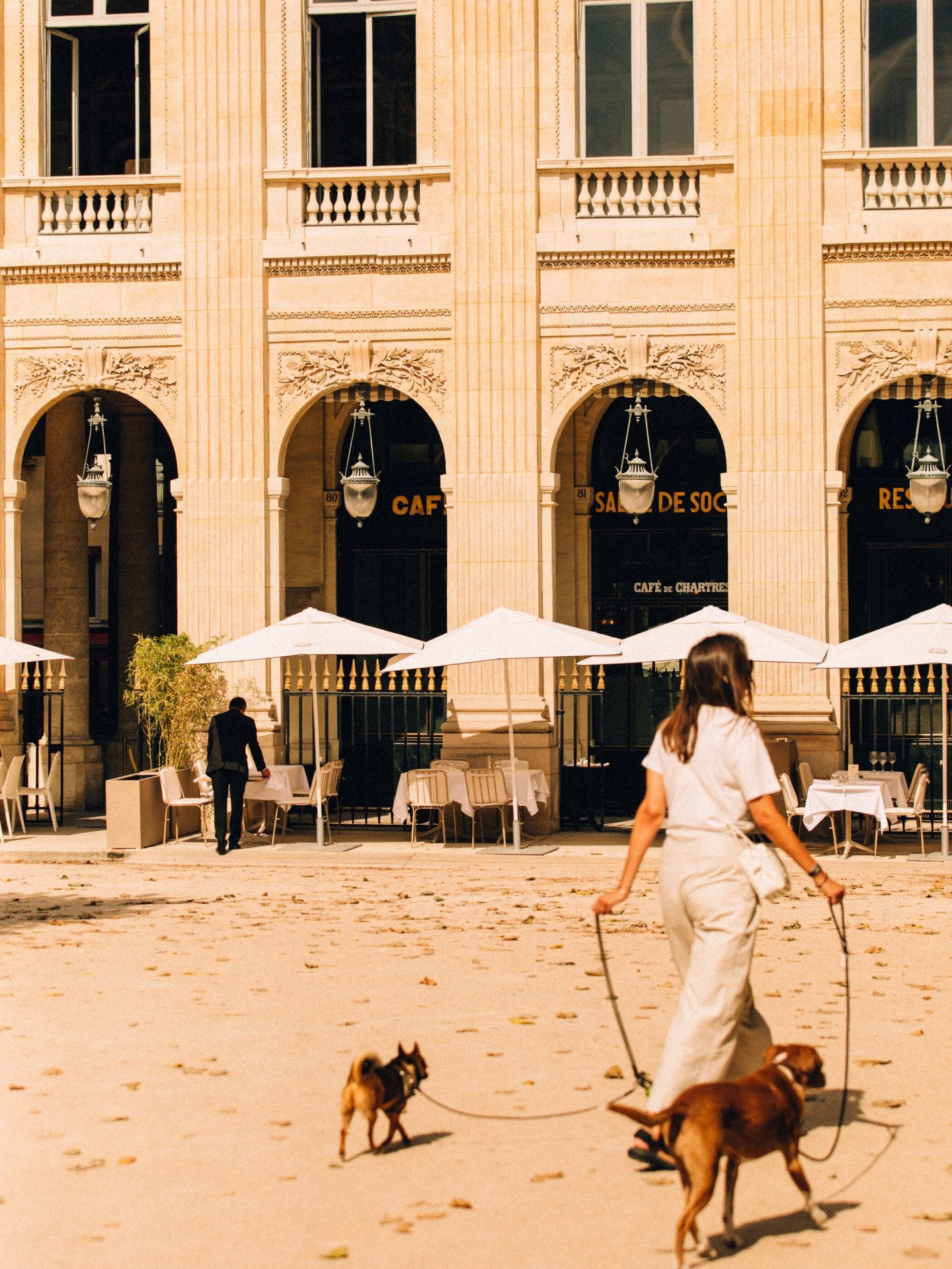 A lady walking with two dogs in front of Paris Palais Royal