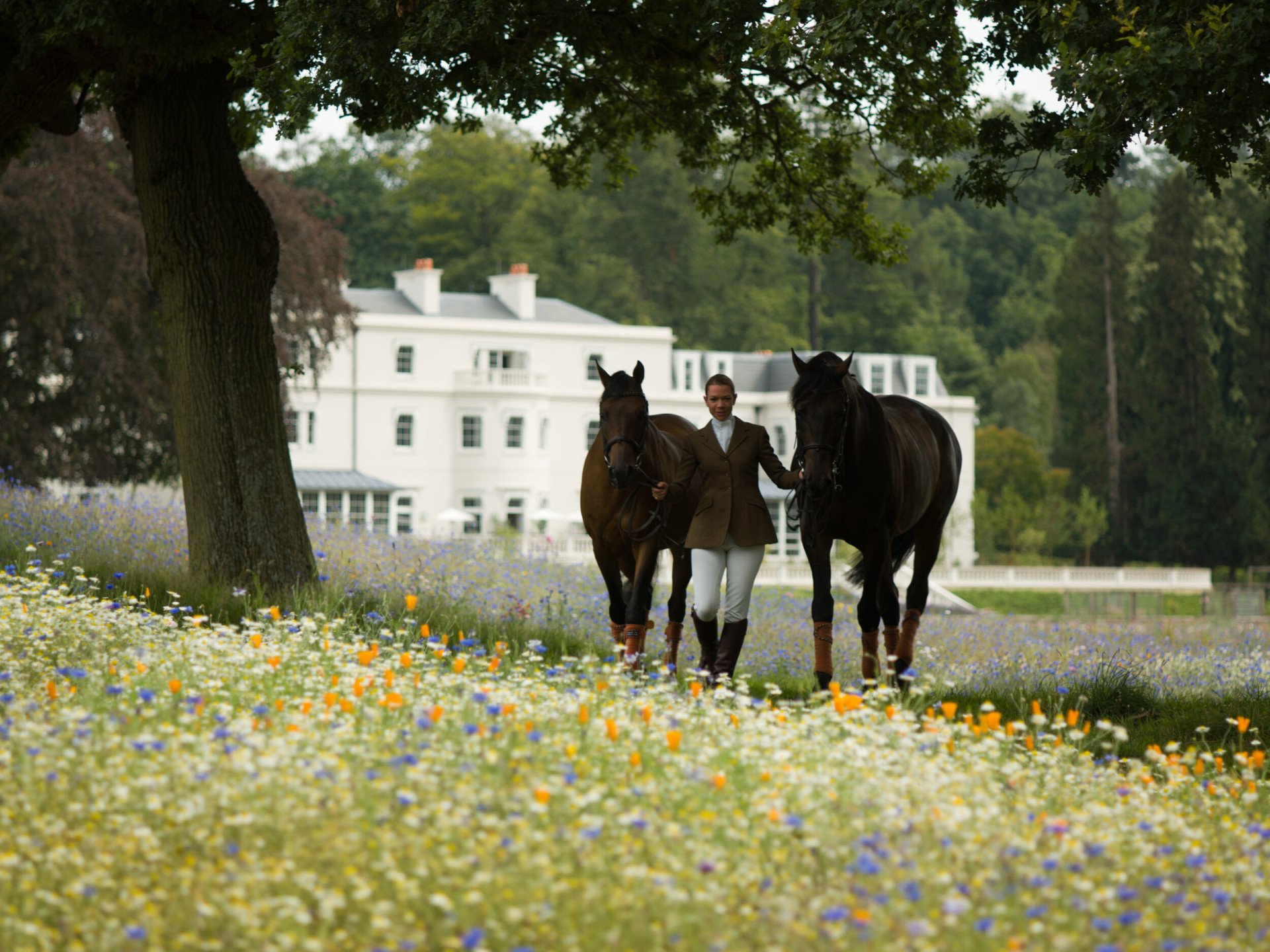 Horses in the wildflower meadow at Coworth Park with the main house beyond