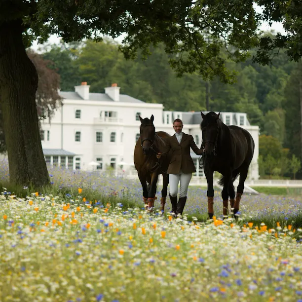 Horses in the wildflower meadow at Coworth Park with the main house beyond
