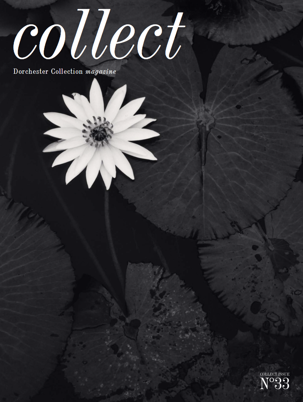 Magazine cover of collect magazine no 33